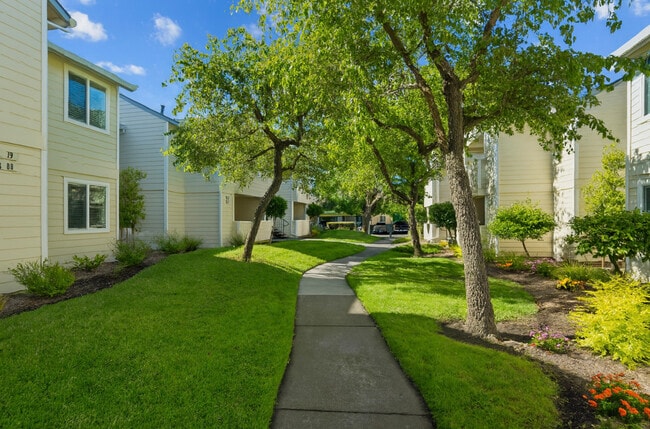 Emerald Pointe