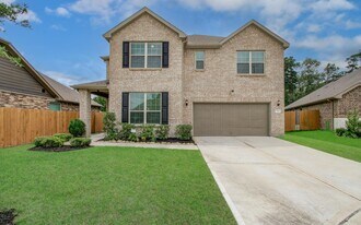 27817 Ellie Oak Ln in Spring, TX - Building Photo