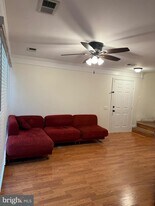 8216 Catbird Cir in Lorton, VA - Building Photo