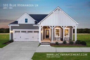 101 Blue Hydrangea Ln in Holly Springs, NC - Building Photo