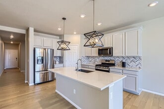 588 Silver Rock Trl in Castle Rock, CO - Building Photo - Building Photo