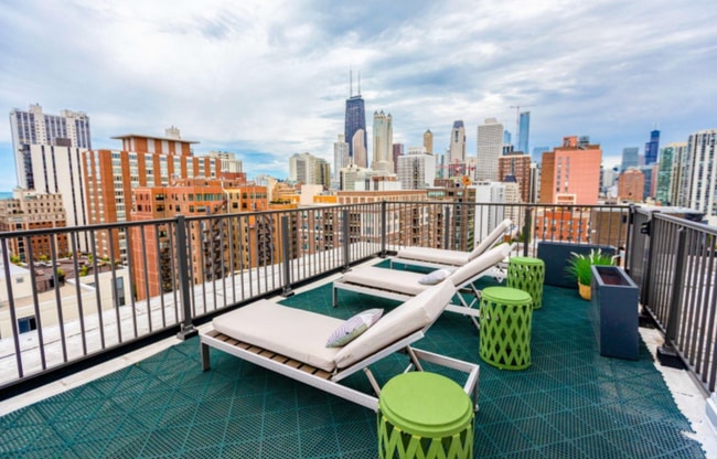 1350 N Dearborn St, Unit 14F in Chicago, IL - Building Photo - Building Photo