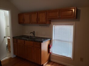 102 Spring St, Unit #3 in Ypsilanti, MI - Foto de edificio - Building Photo