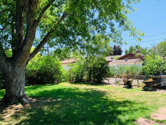 property at 2216 12th St