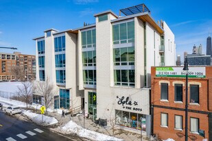 919 N Larrabee St in Chicago, IL - Building Photo