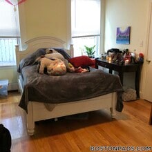 35 Brookline St, Unit 2 in Cambridge, MA - Foto de edificio - Building Photo