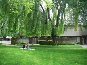 2179 Bella Casa St in Davis, CA - Building Photo - Building Photo