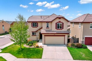 845 Fire Rock Pl in Colorado Springs, CO - Building Photo