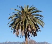Apartamentos en Huntington Park, CA
