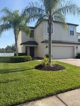20015 Satin Leaf Ave in Tampa, FL - Building Photo - Building Photo