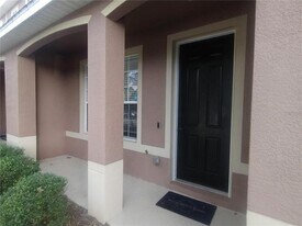 11674 Declaration Dr in Tampa, FL - Building Photo