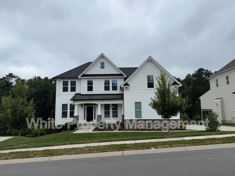 209 Forsythia Ln in Tega Cay, SC - Building Photo