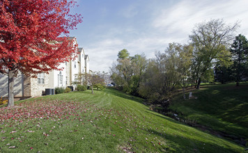 College Court in Appleton, WI - Foto de edificio - Building Photo