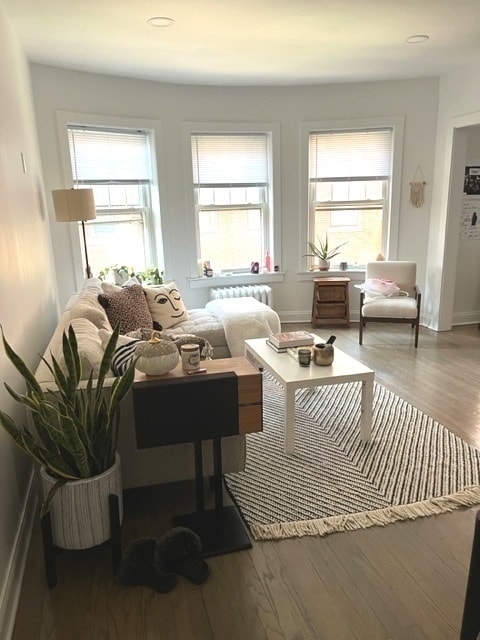 1060 W Thorndale Ave in Chicago, IL - Building Photo - Building Photo