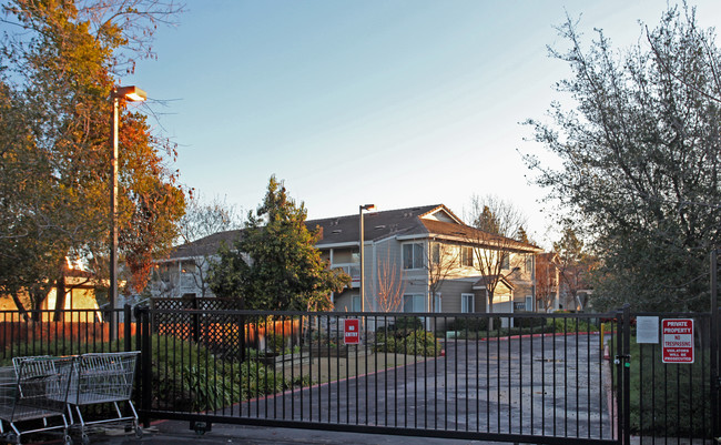 Vintage Knolls Senior Apartments in Sacramento, CA - Building Photo - Building Photo