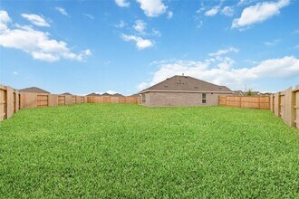26802 Tree Mallow Dr in Katy, TX - Building Photo - Building Photo