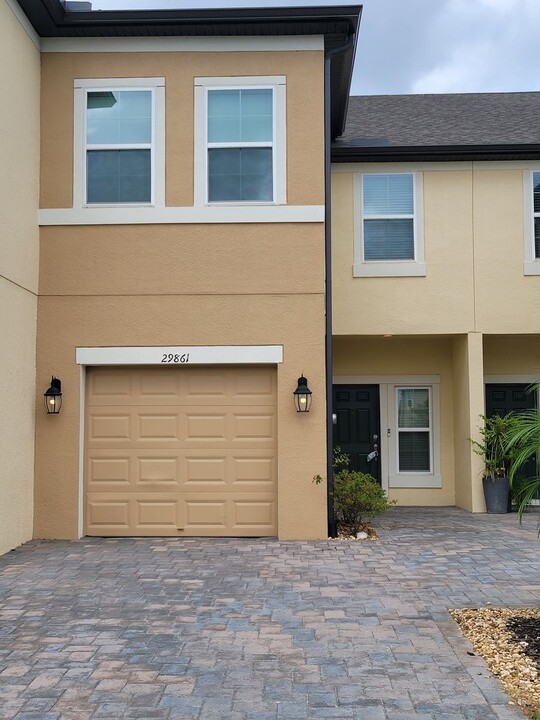 29861 Southwell Ln in Wesley Chapel, FL - Building Photo