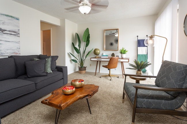Mountain Village in El Paso, TX - Foto de edificio - Interior Photo