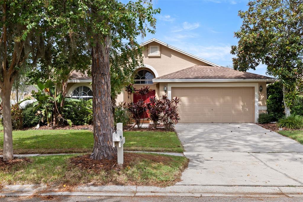 17504 Woodthrush Pl in Tampa, FL - Building Photo