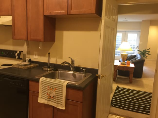 10000 Summerwood Ln in Accokeek, MD - Building Photo - Building Photo