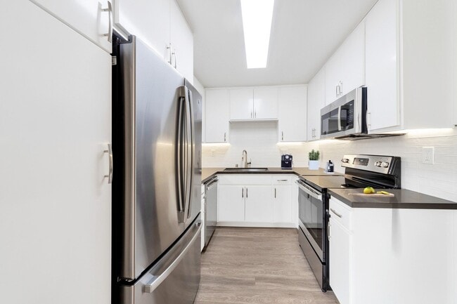 Oasis Apartments