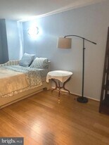 14624 Monmouth Dr in Burtonsville, MD - Building Photo