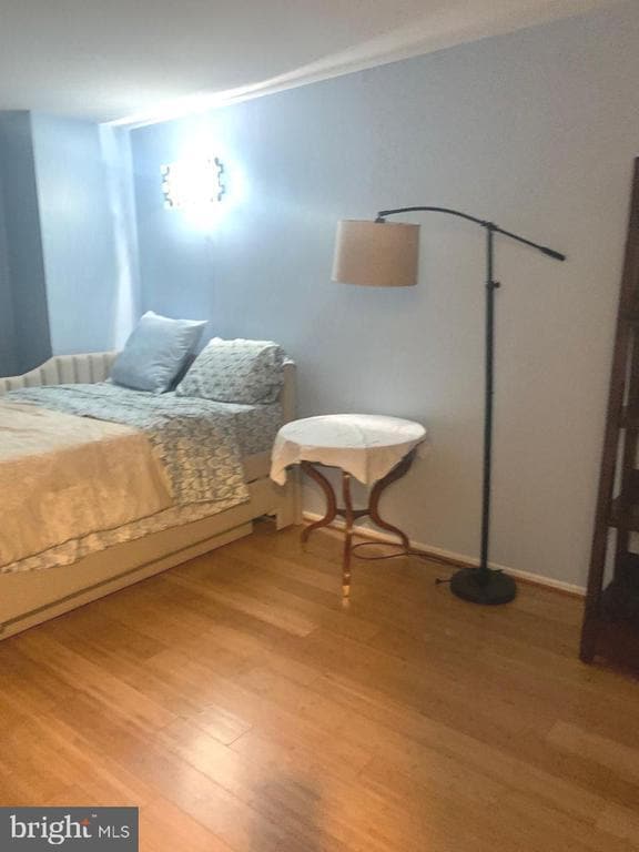 property at 14624 Monmouth Dr