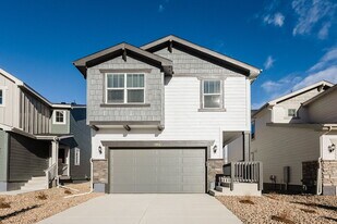 8954 Blue Feather Lp in Colorado Springs, CO - Building Photo