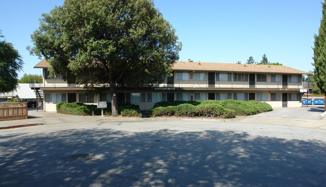 Golden Oak Court in Sunnyvale, CA - Building Photo - Building Photo