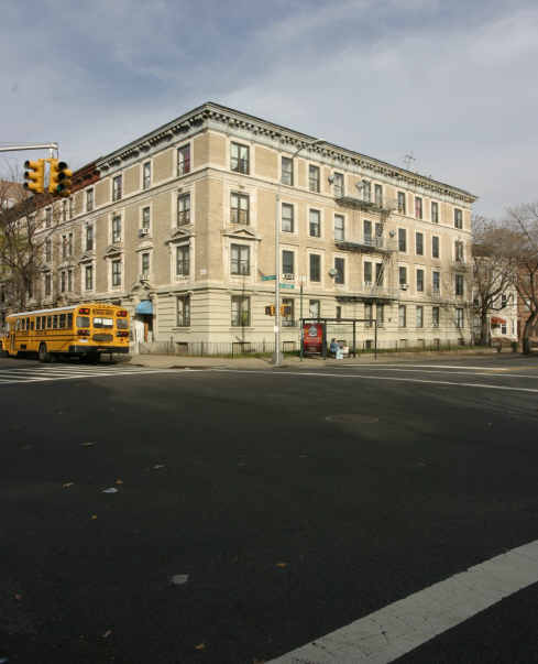 247 New York Ave in Brooklyn, NY - Building Photo - Building Photo