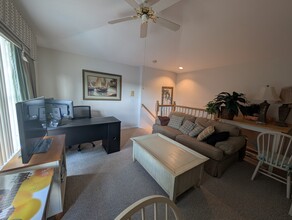 10812 Deerberry Dr in Land O Lakes, FL - Building Photo - Building Photo