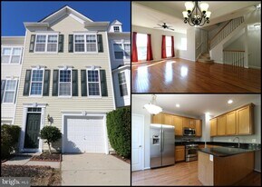 22669 High Haven Terrace in Ashburn, VA - Building Photo