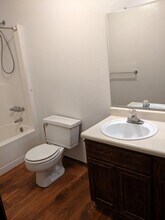 11-13 Newby Pl in Longmont, CO - Building Photo - Building Photo