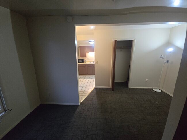 229 N Pearl St in Galesburg, IL - Building Photo - Building Photo
