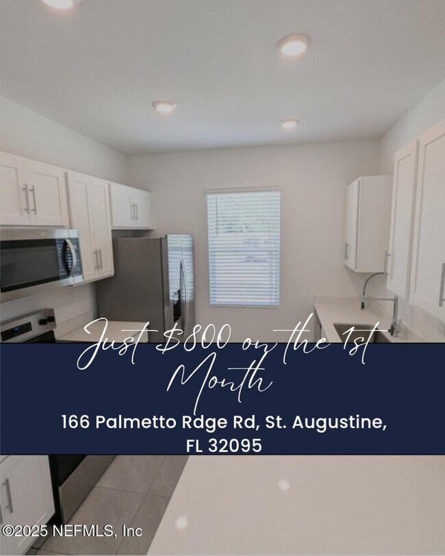 property at 166 Palmetto Rdg Rd