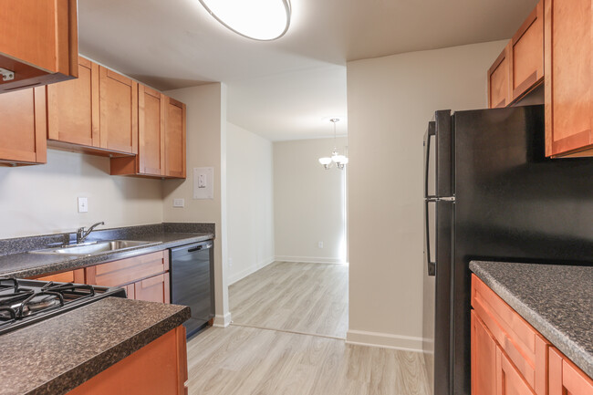 Oak Hill Apartments in Silver Spring, MD - Building Photo - Interior Photo