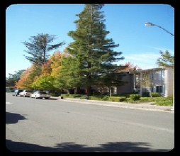 Apartments on Cabot Way in Napa, CA - Building Photo - Building Photo