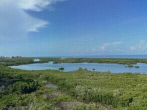 1001 Arbor Lake Dr in Naples, FL - Building Photo - Building Photo