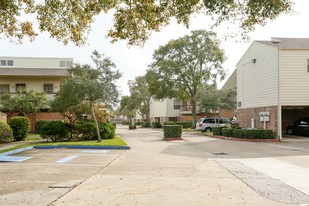 Texas Medical Center in Houston, TX - Building Photo - Building Photo