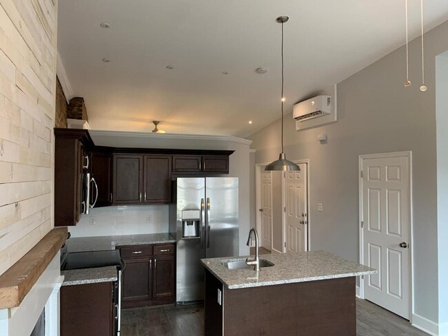 293 Lark St in Albany, NY - Building Photo - Building Photo