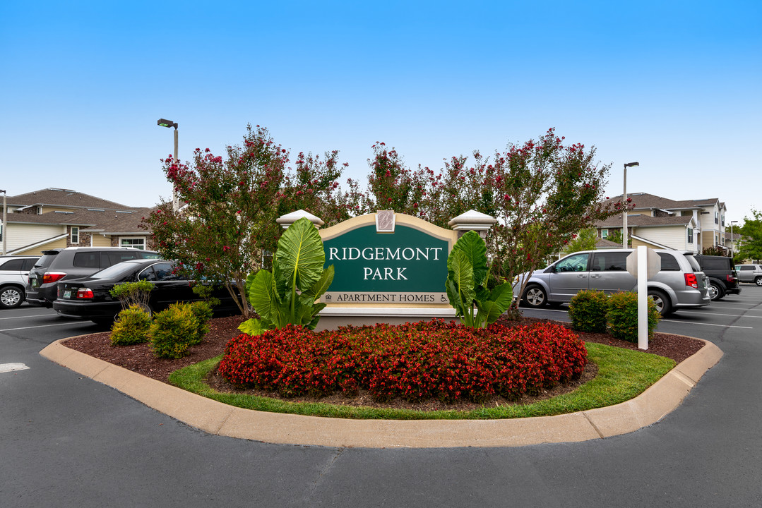 Ridgemont Park in Smyrna, TN - Foto de edificio