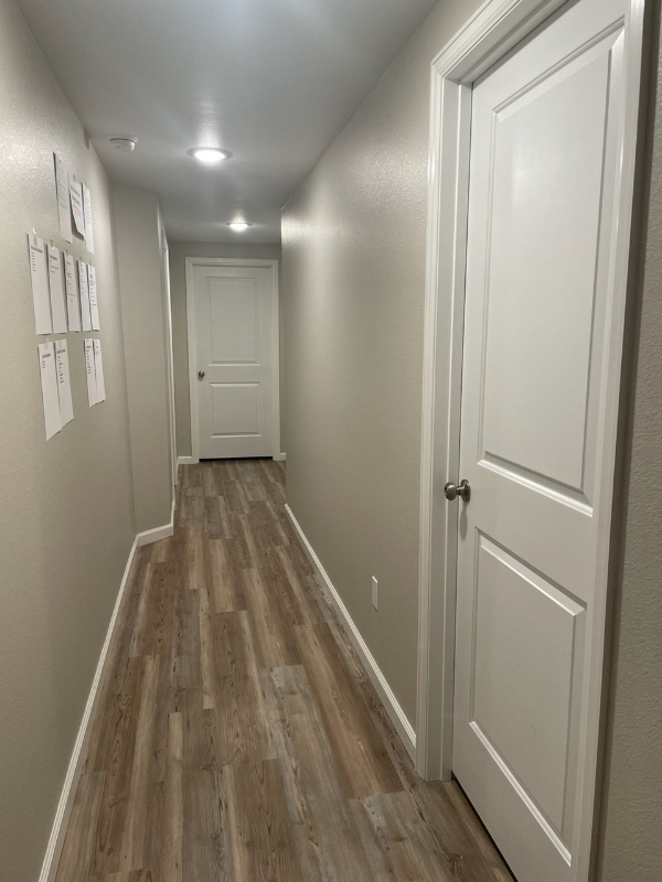 1747 Branching Canopy Dr in Windsor, CO - Building Photo - Building Photo