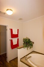 4813 Brook Creek Cove in Austin, TX - Building Photo - Building Photo