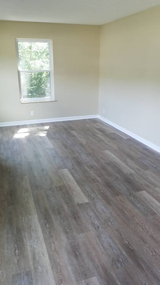 2817 Colt Dr NE in Knoxville, TN - Building Photo - Building Photo