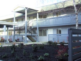 3142 Grant St, Unit 8 in Concord, CA - Building Photo