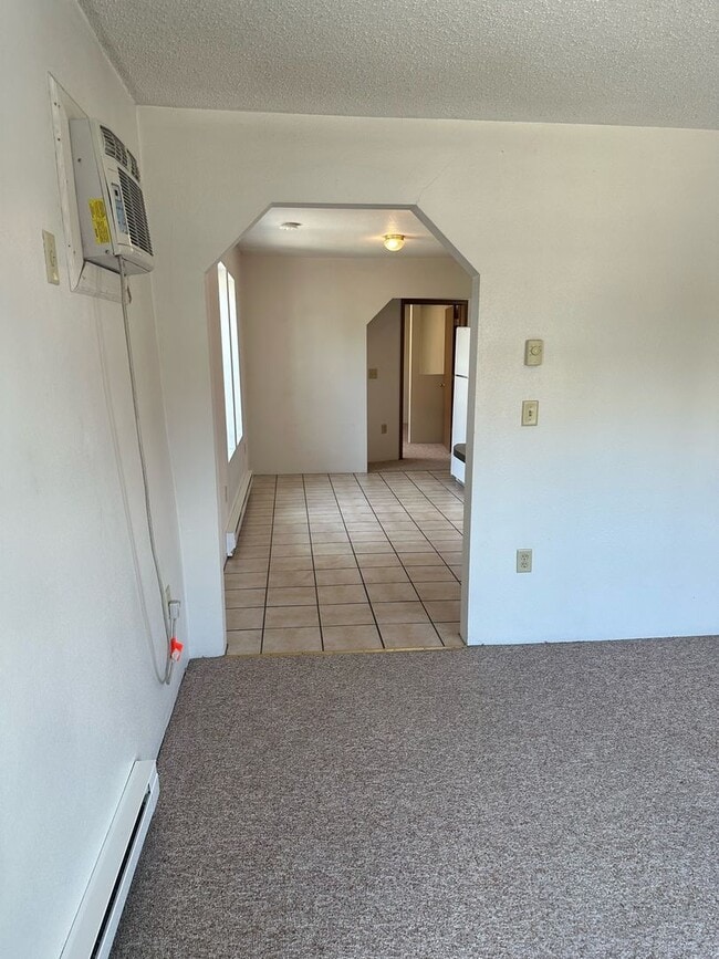 113 E Prentiss St in Iowa City, IA - Building Photo - Building Photo