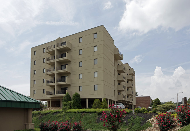 Ft. Henry Arms Condominiums in Kingsport, TN - Building Photo - Building Photo