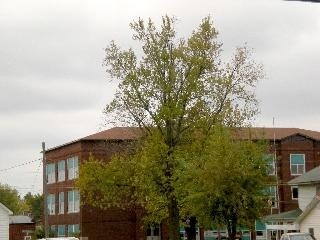 1000 W Centennial Ave in Bowling Green, MO - Foto de edificio - Building Photo