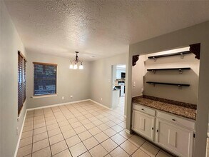 17 Briervine Ct in Spring, TX - Building Photo - Building Photo