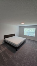 11115 Wishing Cloud Rd in Land O Lakes, FL - Building Photo - Building Photo